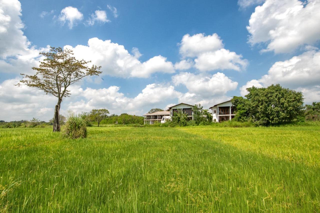 Ceylon Breeze Sigiriya Hotel Bagian luar foto